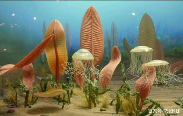 埃迪卡拉生物群出现于()。(为什么说埃迪卡拉生物群奇妙无比)-第12张图片-波音达百科