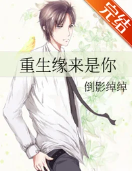像重生缘来是你那样的小说(重生之缘来是你主要讲述什么)-第1张图片-波音达百科