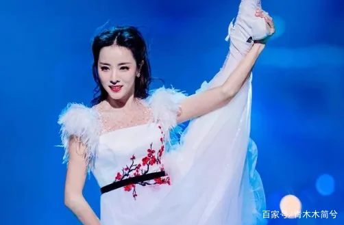 如何评价央视主持人李思思?央视主持人李思思的胸多大-第19张图片-波音达百科