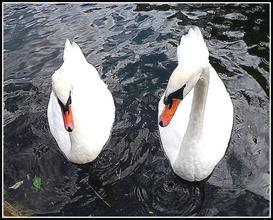 magnificent近义词(magnificent的用法)-第4张图片-波音达百科