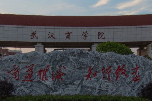 武汉商学院大专分数线(武汉商学院二本分数线)-第3张图片-波音达百科