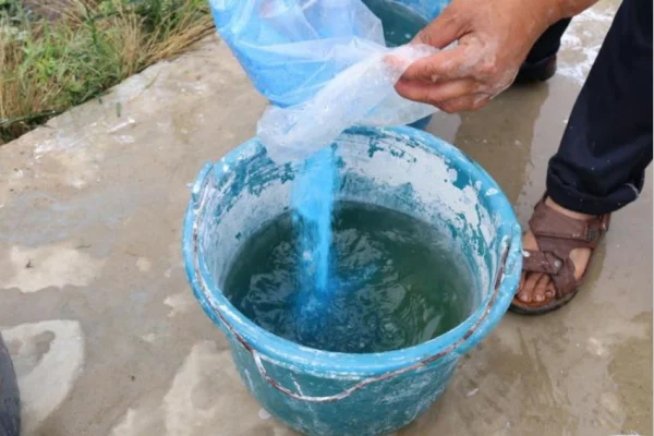 什么是波尔多液，它的主要成分是什么?-第1张图片-波音达百科