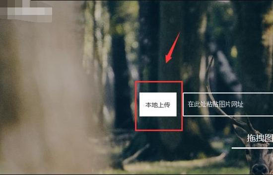 百度识图网页版为什么用不了?手机网页版百度识图为什么不能用-第2张图片-波音达百科