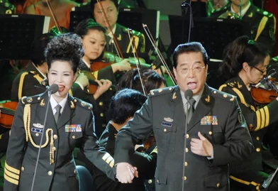 李双江前妻丁英简历曝光 李双江有几个老婆?李双江有几个孩子-第3张图片-波音达百科