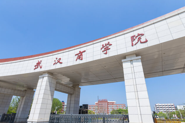 武汉商学院大专分数线(武汉商学院二本分数线)-第1张图片-波音达百科