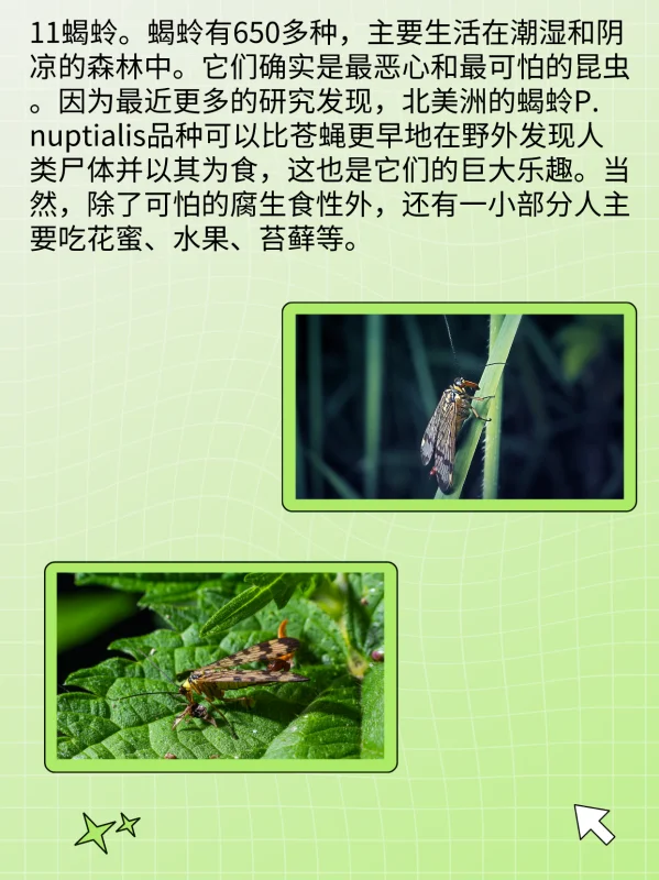 世界禁用的十大子弹(世界十大禁用枪支有什么?)-第13张图片-波音达百科