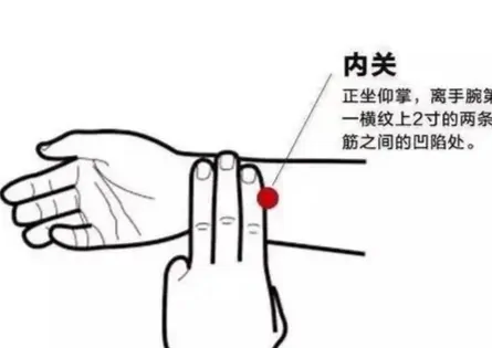 内关的准确位置在哪?内关的准确位置图 艾灸内关的作用与好处-第2张图片-波音达百科