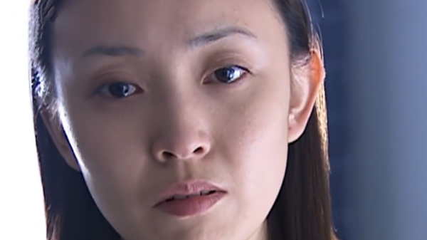 征服李梅的最后结局(征服最后李梅怀上孩子了吗小说?)-第1张图片-波音达百科