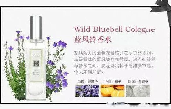 世界十大名香水是哪些(十大名牌香水有那几种)-第6张图片-波音达百科