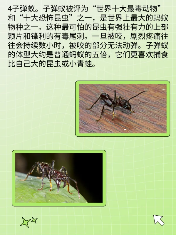 世界禁用的十大子弹(世界十大禁用枪支有什么?)-第6张图片-波音达百科