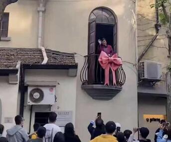 狗的蝴蝶结有多大?狗的蝴蝶结到底是什么-第3张图片-波音达百科 狗的蝴蝶结有多大?狗的蝴蝶结到底是什么-第3张图片-波音达百科