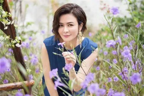 你还记得关之琳演过哪些电影吗?任达华和关之琳都演过什么电影?-第5张图片-波音达百科