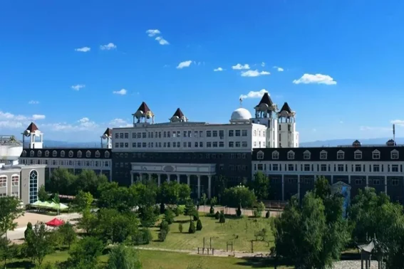 泰晤士2023年亚洲大学排行榜(2023qs亚洲大学排行榜完整版)-第2张图片-波音达百科