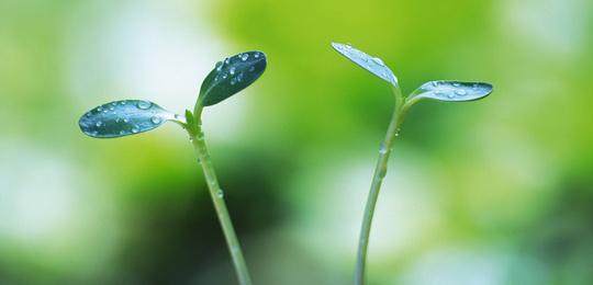 百度识图网页版为什么用不了?手机网页版百度识图为什么不能用-第6张图片-波音达百科
