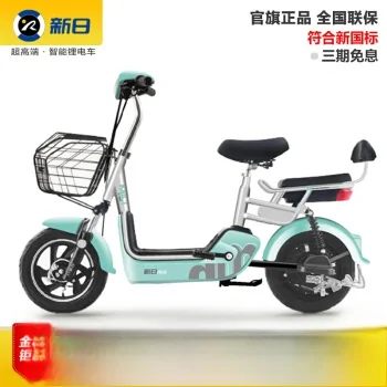 2000左右大骨架电动车哪个好?-第1张图片-波音达百科