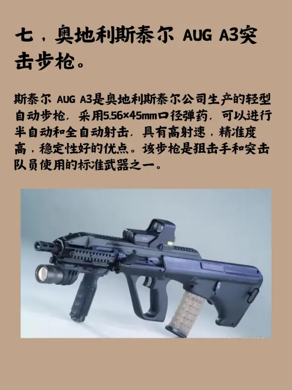 全球十大特种部队是??-第8张图片-波音达百科