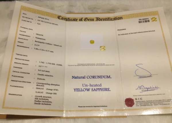 others认证是什么意思(茶杯others是什么意思)-第1张图片-波音达百科