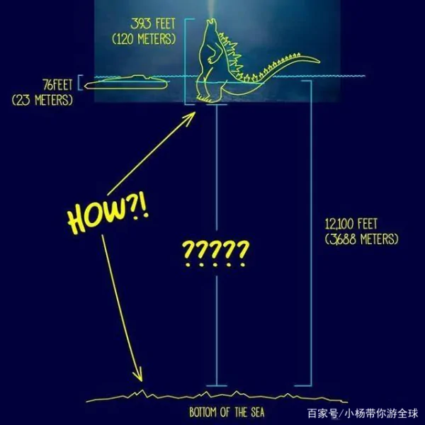 哥斯拉是什么意思 为什么叫哥斯拉-第6张图片-波音达百科