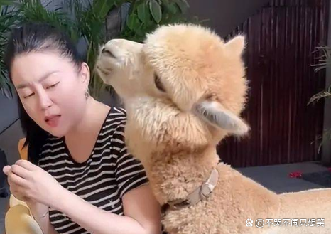 大广播扮演者——关婷娜(关婷娜在马大帅中扮演谁)-第3张图片-波音达百科