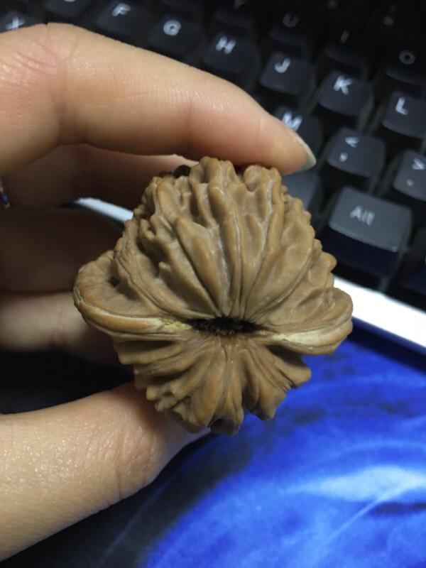 什么叫四座楼狮子头。(如何挑选四座楼狮子头?)-第2张图片-波音达百科