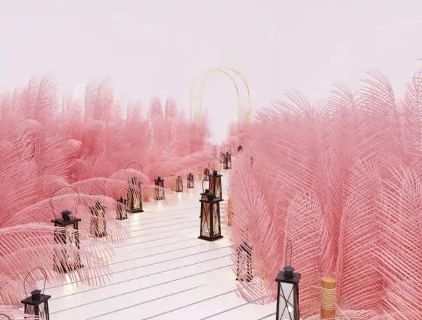 狗的蝴蝶结有多大?狗的蝴蝶结到底是什么-第6张图片-波音达百科 狗的蝴蝶结有多大?狗的蝴蝶结到底是什么-第6张图片-波音达百科