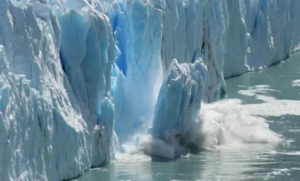 世界更大树屋的费用(世界更大树屋的特色)-第10张图片-波音达百科