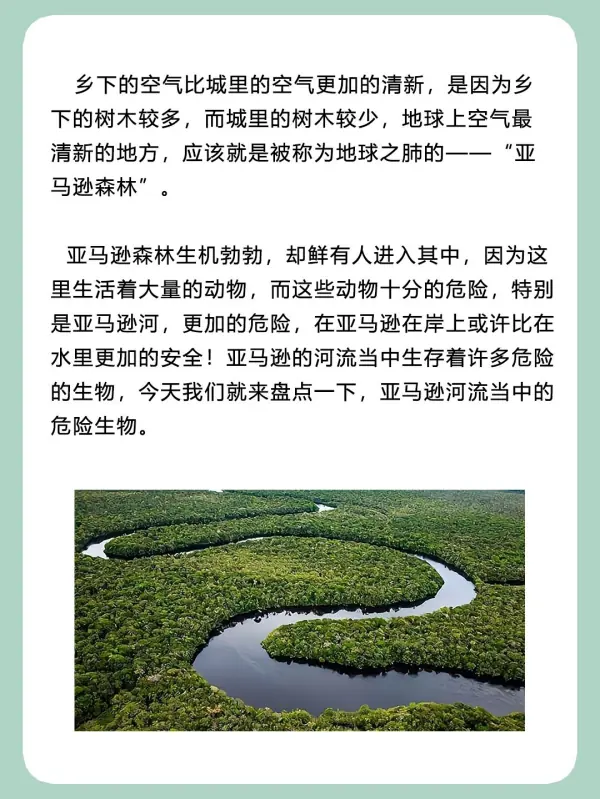 亚马逊河杀手排行榜(亚马逊河的读音是什么?)-第3张图片-波音达手游百科