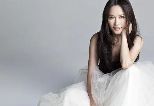 俞飞鸿都演过什么电视剧(俞飞鸿演的电视剧 俞飞鸿演过什么电视剧)-第11张图片-波音达百科