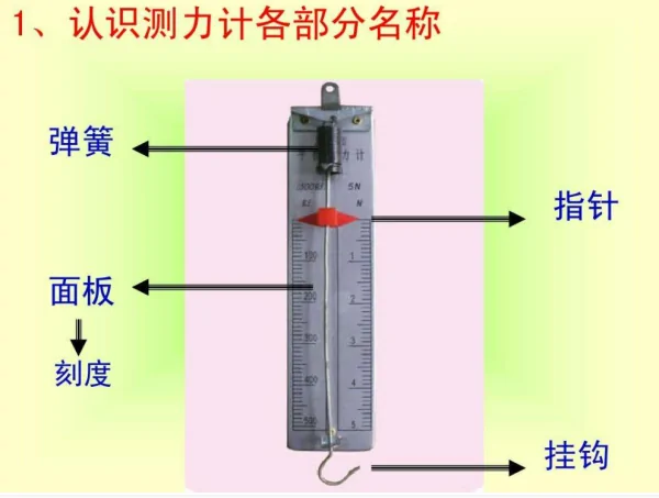 弹簧测力计的原理 弹簧测力计原理是什么(弹簧测力计是根据什么原理 *** 的)-第3张图片-波音达百科 弹簧测力计的原理 弹簧测力计原理是什么(弹簧测力计是根据什么原理 *** 的)-第3张图片-波音达百科