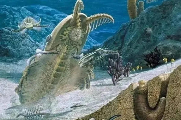 埃迪卡拉生物群出现于()。(为什么说埃迪卡拉生物群奇妙无比)-第4张图片-波音达百科