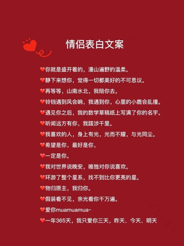 撒狗粮犯法吗?公共场所撒狗粮判几年?-第5张图片-波音达百科