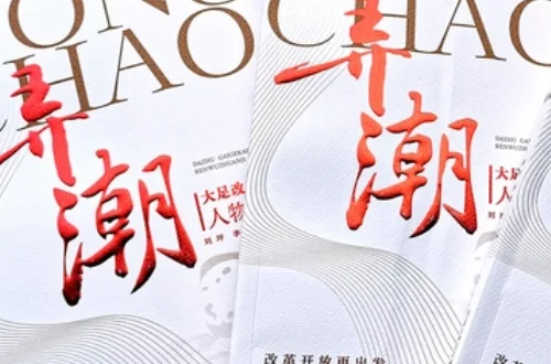 有什么好看的官场小说排行榜吗?全本官场小说排行榜-第13张图片-波音达百科