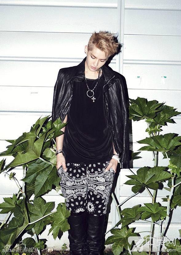 exo 狼与美女专辑的图片 可以给我吗(exo狼与美女 那个女主角是谁呀?)-第2张图片-波音达百科