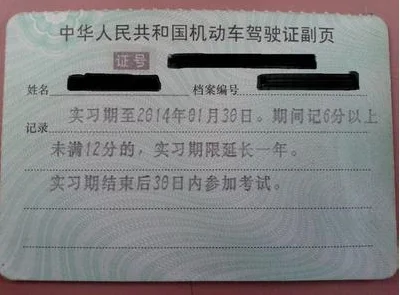 c1驾驶证怎么查询系统档案?-第1张图片-波音达手游百科