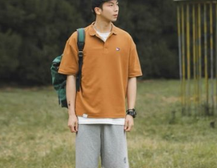 polo衫怎么读 polo衫的简介-第1张图片-波音达百科 polo衫怎么读 polo衫的简介-第1张图片-波音达百科