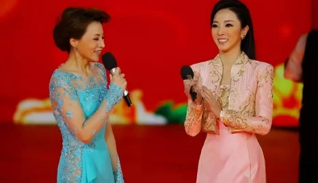 董卿为什么被央视解雇了(董卿为什么被央视解雇原因)-第7张图片-波音达手游百科