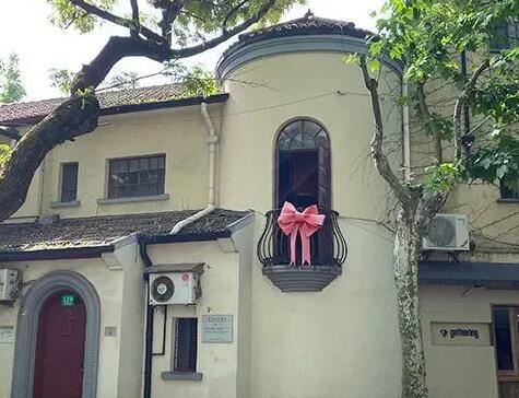 狗的蝴蝶结有多大?狗的蝴蝶结到底是什么-第2张图片-波音达百科 狗的蝴蝶结有多大?狗的蝴蝶结到底是什么-第2张图片-波音达百科