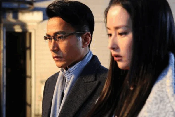 电视剧《千山暮雪》的内容是?如何评价电视剧千山暮雪?-第6张图片-波音达百科