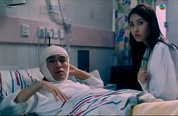 家有喜事1997与家有喜事2009-第6张图片-波音达百科