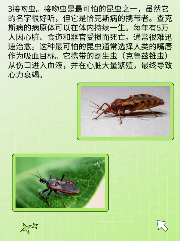 世界禁用的十大子弹(世界十大禁用枪支有什么?)-第5张图片-波音达百科