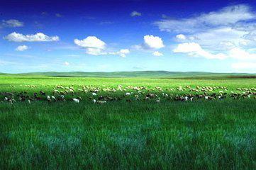 内蒙古乌拉特前旗有草原吗(内蒙古乌拉特前旗天天快递在哪)-第1张图片-波音达百科