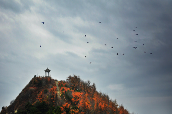 独坐敬亭山古诗写作背景(《独坐敬亭山》的写作顺序是怎样的?)-第2张图片-波音达百科