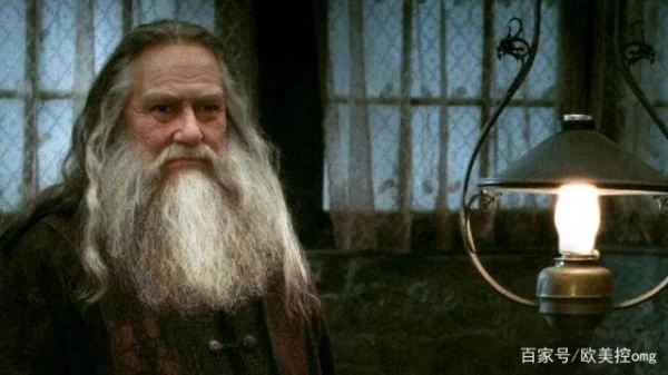 哈利波特与死亡圣器游戏问题(哈利波特与死亡圣器下游戏为何下载后无法玩)-第11张图片-波音达百科