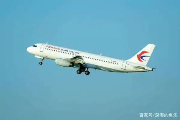mu5735航班号还在吗?东航mu5735航班满员多少人?-第23张图片-波音达百科
