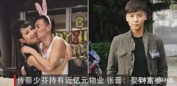 刘銮雄老婆不恨蔡少芬 刘銮雄前妻谈蔡少芬说了什么?-第8张图片-波音达百科