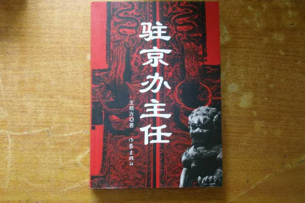 有什么好看的官场小说排行榜吗?全本官场小说排行榜-第4张图片-波音达百科