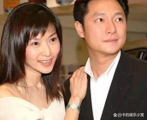 俞飞鸿都演过什么电视剧(俞飞鸿演的电视剧 俞飞鸿演过什么电视剧)-第9张图片-波音达百科