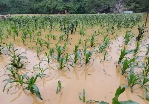 南方多地将迎大暴雨,这种天气会持续多久?-第21张图片-波音达手游百科