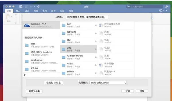 office 2011 for mac 怎么激活-第4张图片-波音达百科