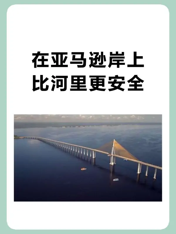 亚马逊河杀手排行榜(亚马逊河的读音是什么?)-第2张图片-波音达手游百科